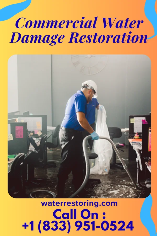 Commercial Water Damage Restoration in Moon Lake, FL