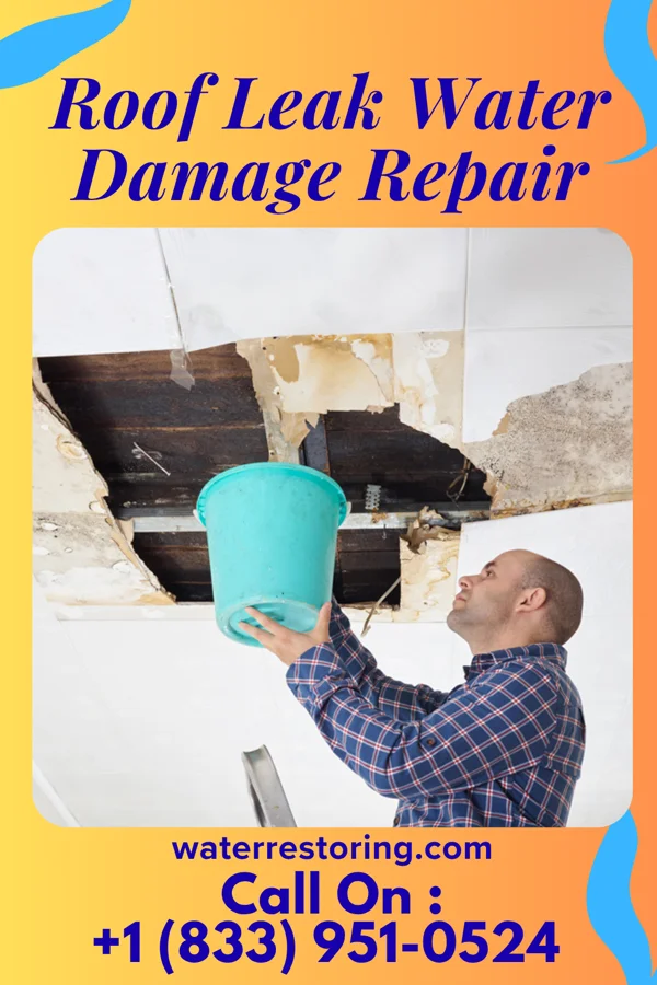Roof Leak Water Damage Repair in Moon Lake, FL